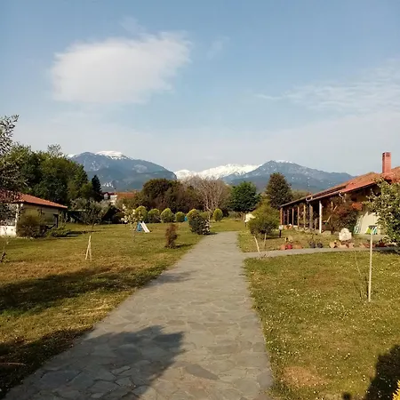 Olympos House 펜션 *